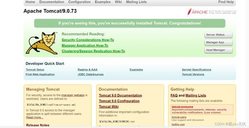 Linux基礎操作與服務器配置 從入門到搭建基礎軟件服務